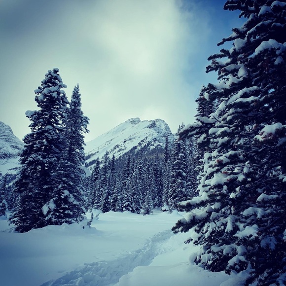 Meet your Posher, Leanne - Picture 1 of 1